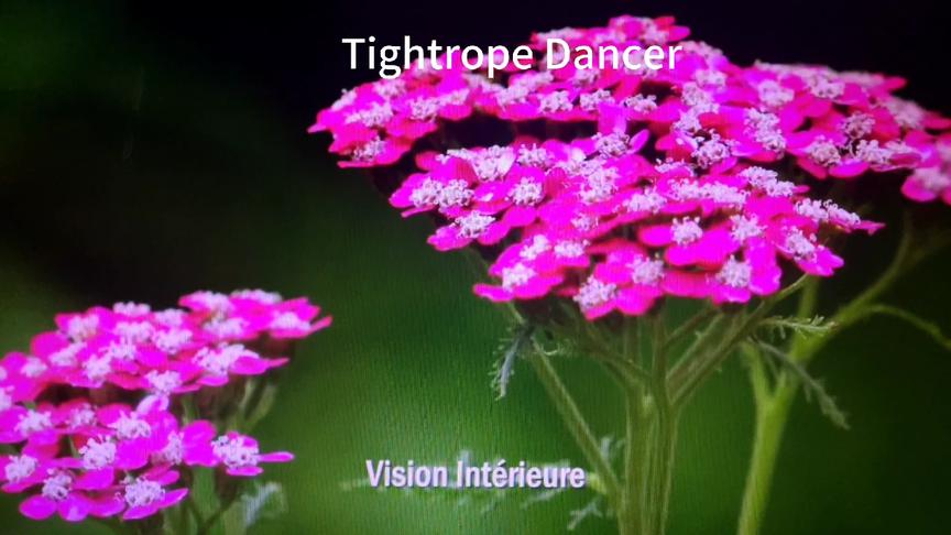 [图]周末去感受大自然的魅力，减压音乐---Tightrope Dancer