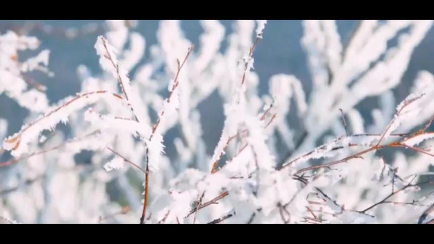 [图]踏莎行·雪似梅花