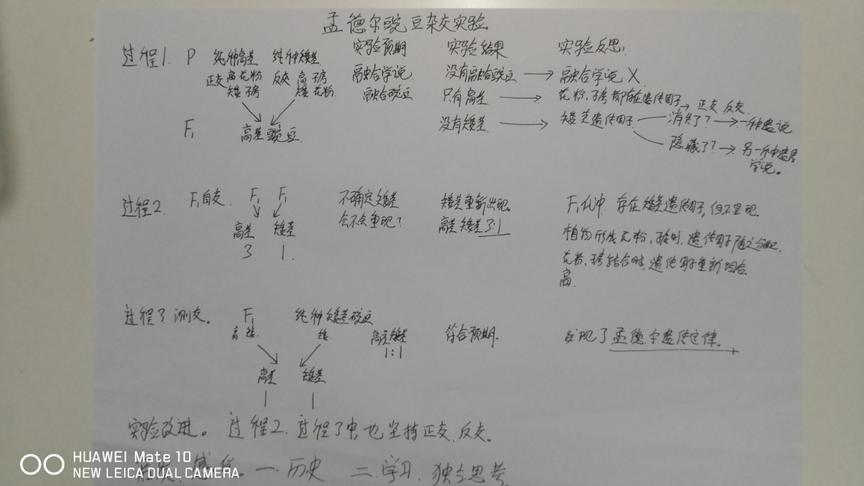 [图]两张纸说清孟德尔豌豆杂交实验：操作过程和推理方法。