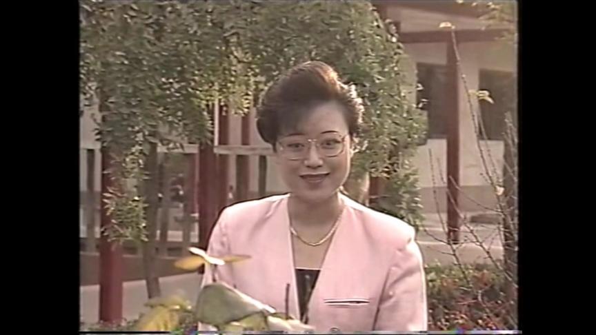 [图]1991年28岁的李佩红参赛演出京剧《竹林记》荣获最佳表演奖