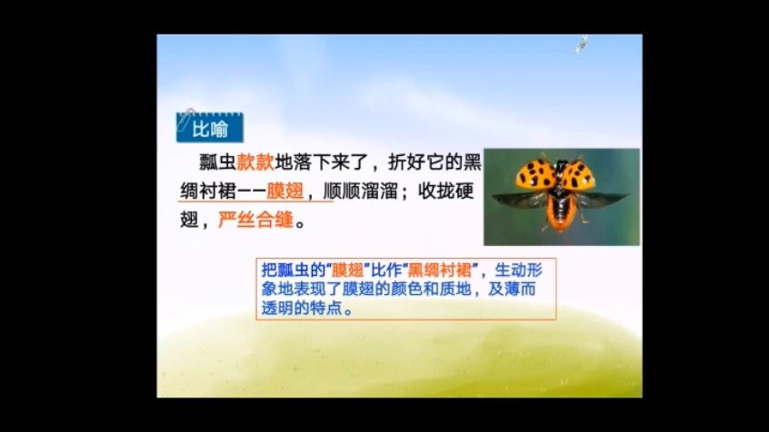 [图]小学三年级语文下册：4、昆虫备忘录