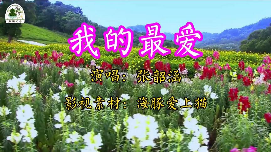 [图]《我的最爱》张韶涵的一首热门歌曲，声音太优美了