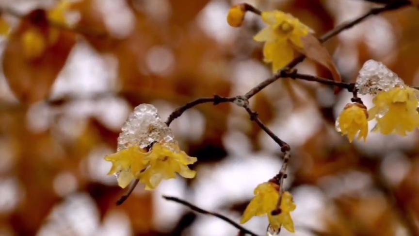 [图]一曲班得瑞的《仙境》带你走进一个冰雪世界，视听盛宴噢