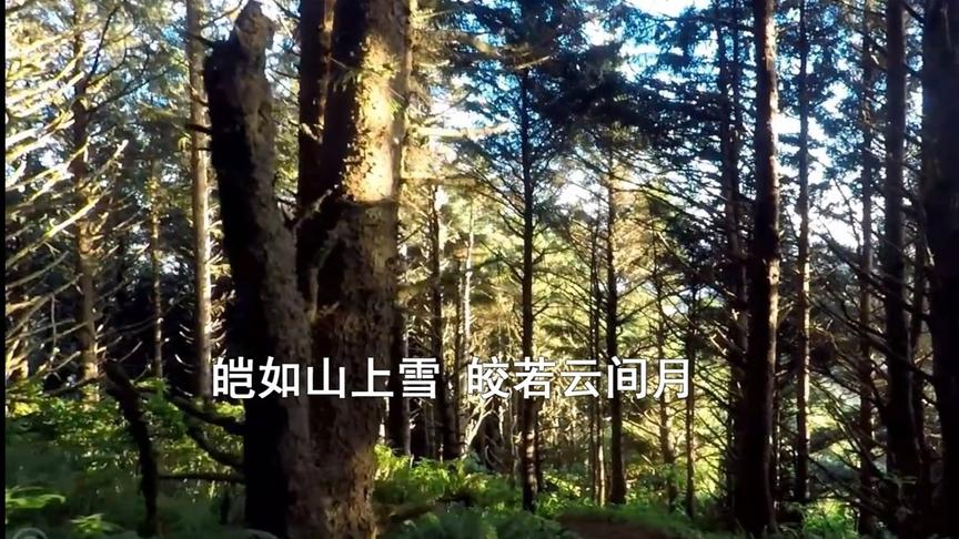 [图]古诗词歌曲《白头吟》词.卓文君--皑如山上雪，皎若云间月...