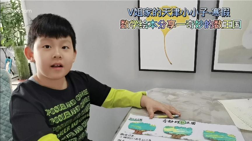 [图]V姐家的小小子-寒假系列 数学绘本分享，奇妙的数王国