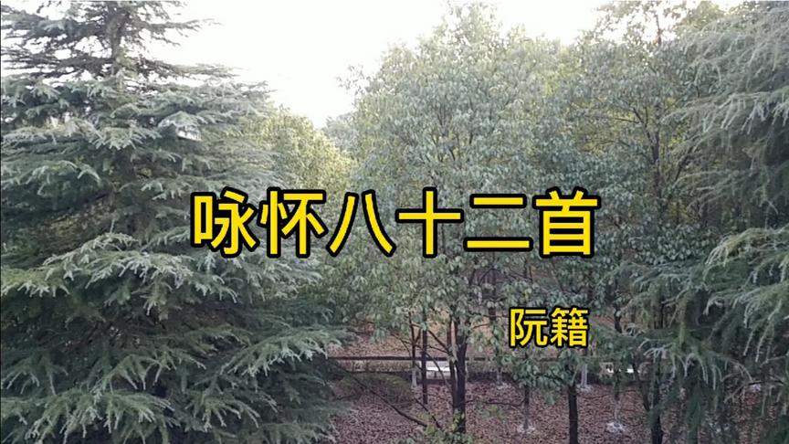 [图]读阮籍《咏怀八十二首》喜欢：夜中不能寐，起坐弹鸣琴