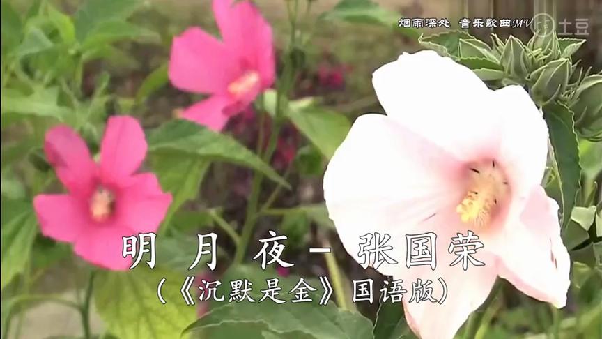 [图]明月夜（沉默是金）国语版！演唱：張国荣