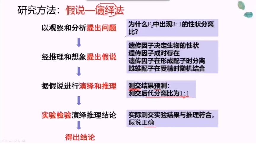 [图]孟德尔的豌豆杂交实验一的研究方法——假说演绎法