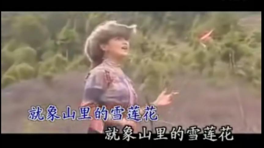 [图]经典金曲mv 流行歌曲二十首大联唱🎶