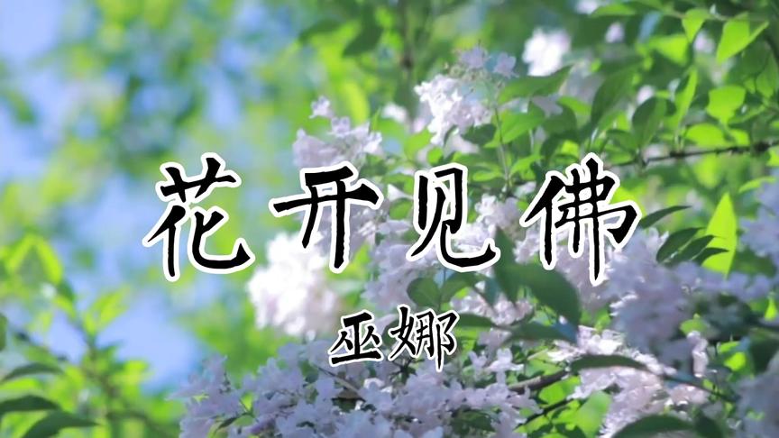 [图]【最好听的禅音】《花开见佛》让起伏的心回归平静，忘却尘世烦恼