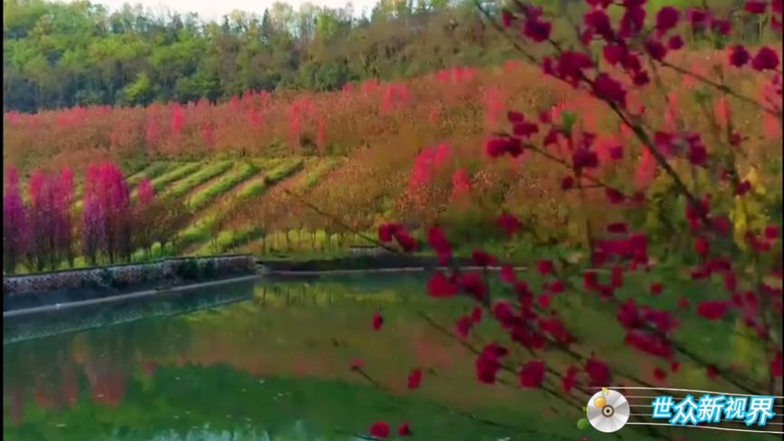 [图]《在最深的红尘里重逢》来自李汉颖的极致音乐，旋律清幽抒情温馨