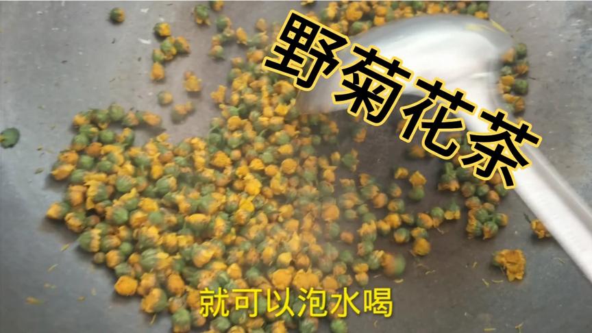 [图]秋季农村爆满山的野菊花，有何用处，一起来了解一下吧！