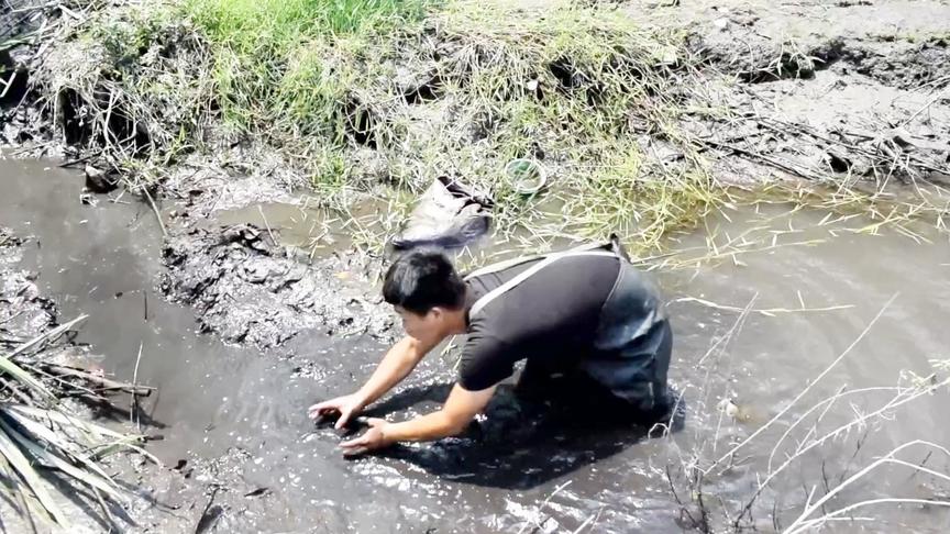 烂泥潭抓鱼相关视频