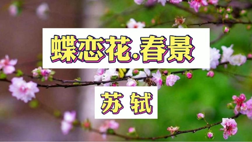 [图]朗诵:苏轼《蝶恋花·春景》枝上柳绵吹又少 ，天涯何处无芳草