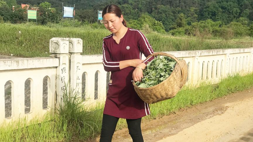 [图]别再傻傻分不清艾叶和蒿草了，金燕实地教您识别真正的艾草，历害