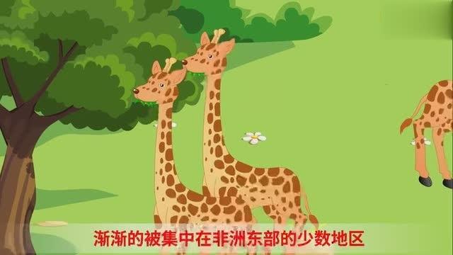 [图]【儿童十万个为什么】第1集——为什么长颈鹿的脖子特别长