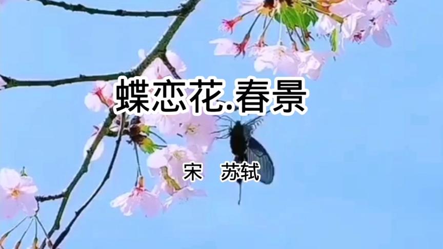 [图]苏轼的《蝶恋花.春景》枝上柳绵吹又少，天涯何处无芳草聆听经典