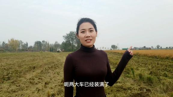 豫见露儿