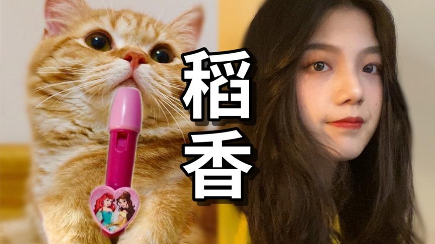 [图]周杰伦《稻香》！猫和甜美小姐姐的梦幻联动！