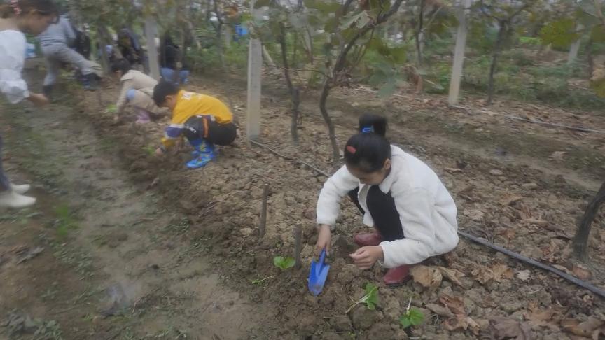 [图]乡间田园撷趣