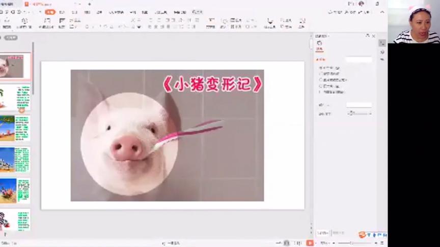 [图]小猪🐷变形记