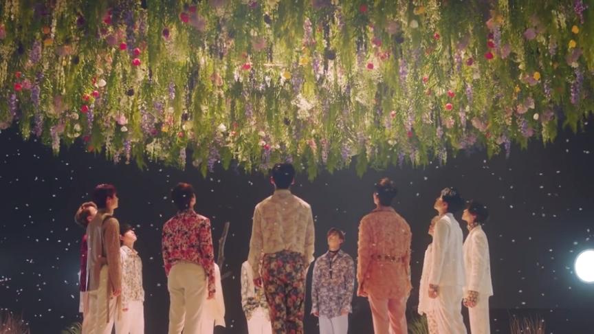 [图][MV]SEVENTEEN - 飘落的花瓣（Fallin' Flower)