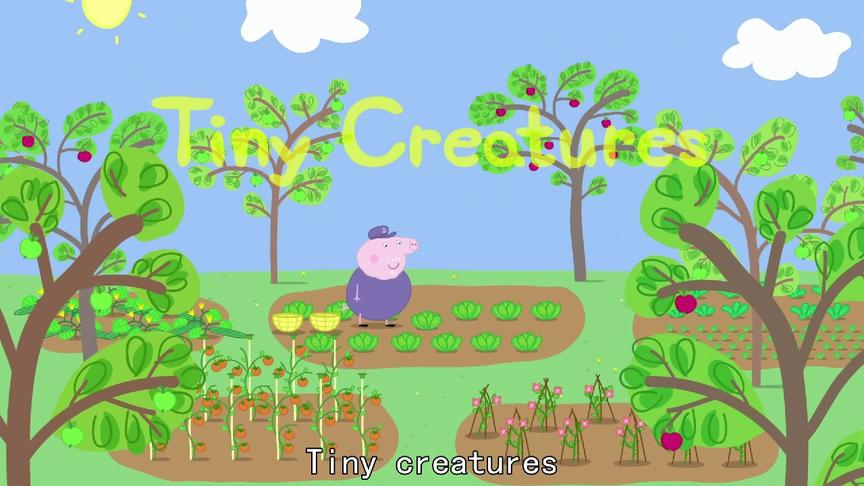 [图]小猪佩奇英文版第二季29集 Tiny Creatures