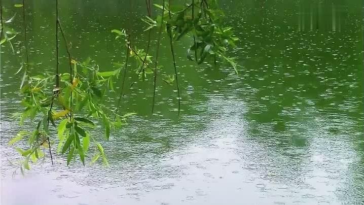 [图]纯音乐Always With Me, Always With You（你我永远同在）顾稚蔚