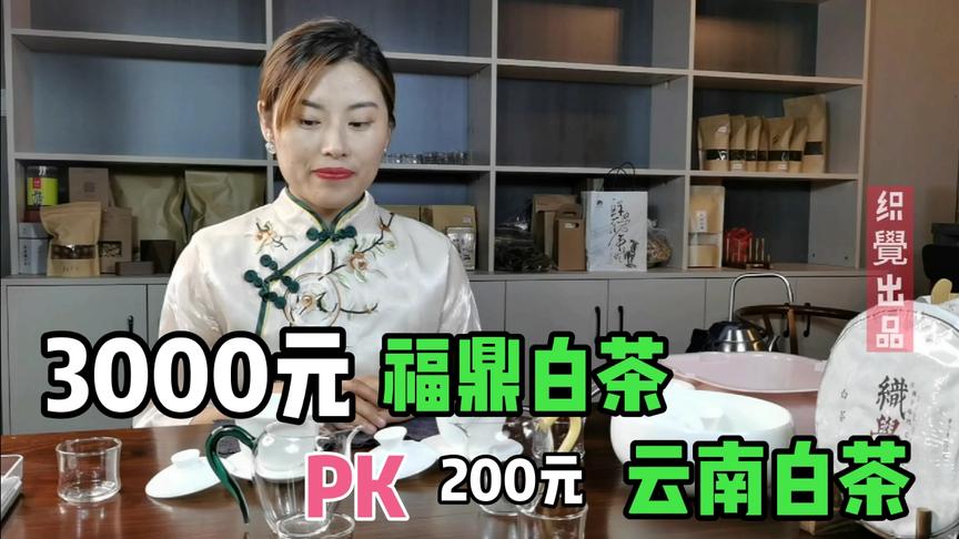 [图]3000元的福鼎白茶PK，200元的云南白茶，谁更具有优势呢？评测中