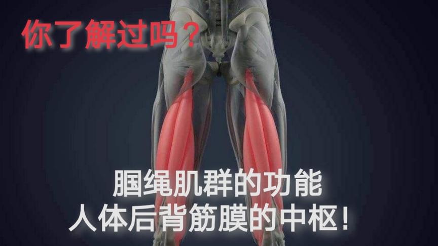 [图]上集：2分钟认识人体筋膜链，避开误区深度了解健身运动方法