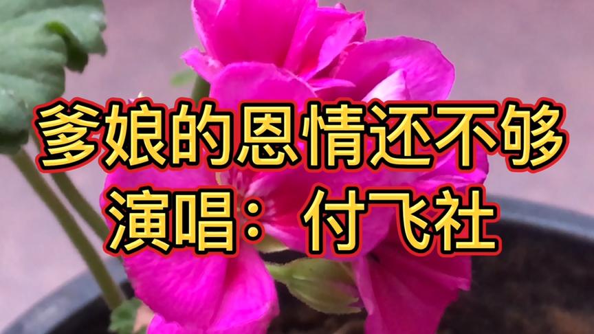 [图]《爹娘的恩情还不够》可惜儿在外不能陪左右，爹娘恩情还也还不够