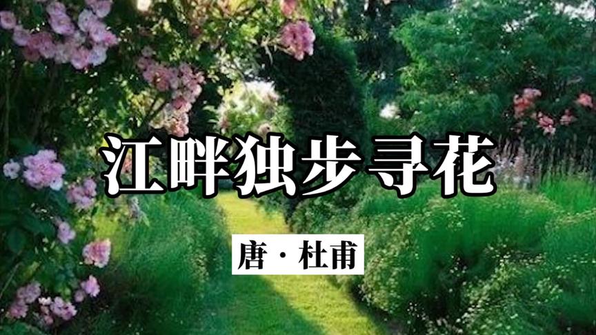 [图]《江畔独步寻花》原文加赏析