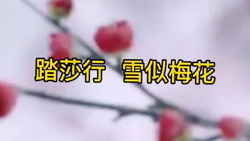 [图]踏莎行 雪似梅花