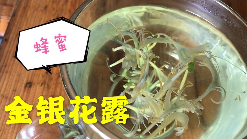 [图]宝妈教我做的金银花露，这样做不知道对吗