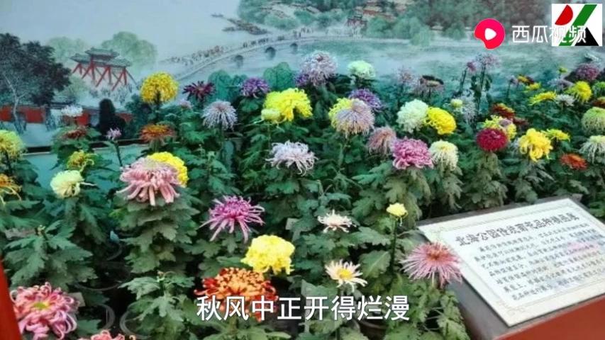 [图]主持人康辉朗诵作家史铁生的《秋天的怀念》