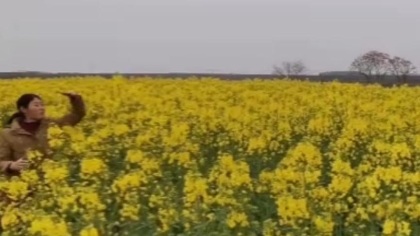 [图]三月的田野，饭后漫步于满满的油菜花香中，是多少人梦中的生活