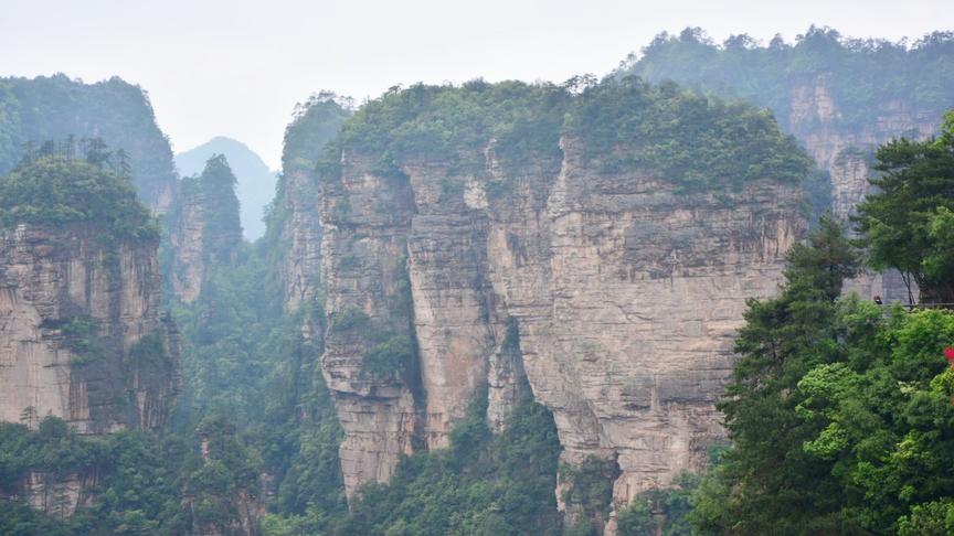 [图]古诗文朗诵《采薇》出自.诗经---采薇采薇，薇亦作止