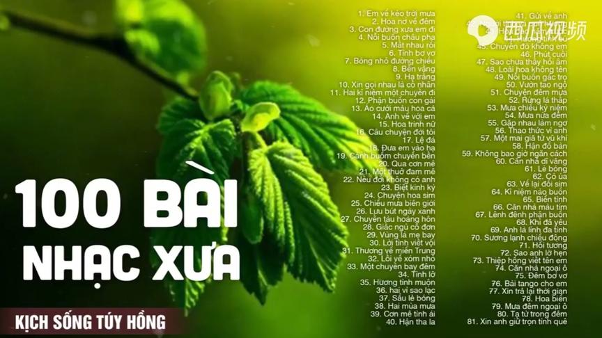 [图]越南歌曲100首 Nhạc Vàng Xưa Hải Ngoại Quá Say Mê