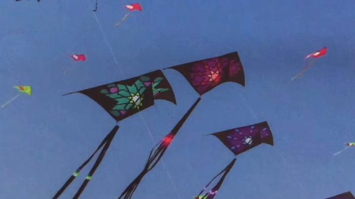 [图]少儿英语启蒙 RAZ分级阅读a 15 Go Fly a Kite 去放风筝