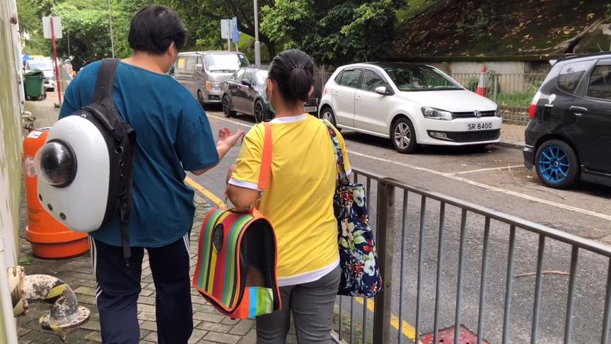 [图]香港小叔带领养的猫看兽医 介绍了宠物在香港的福利 太人性化