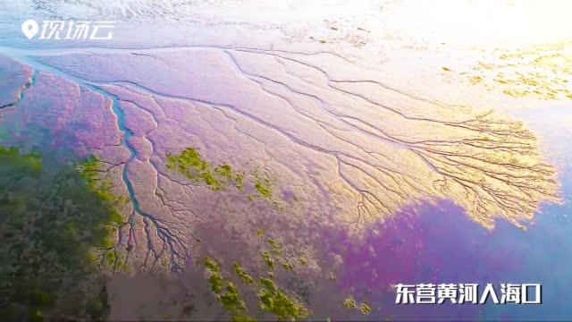 [图]60万米高空看中国|山东篇：向海而生 挺进深蓝