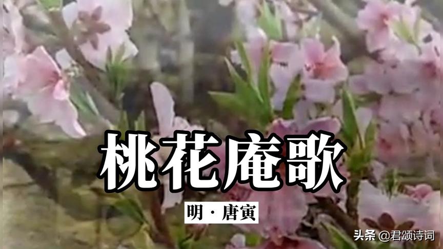 [图]诗词欣赏：《桃花庵歌》唐寅