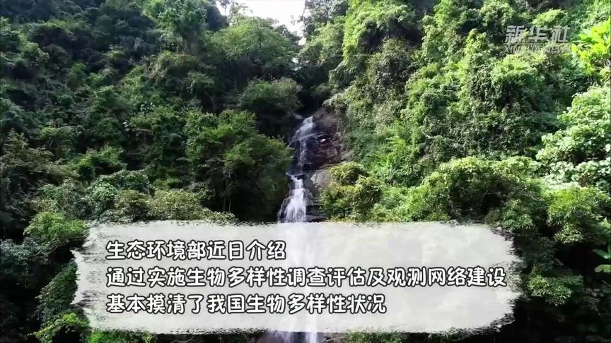 [图]【保护生物多样性丨共建地球生命共同体——中国生物多样性现...