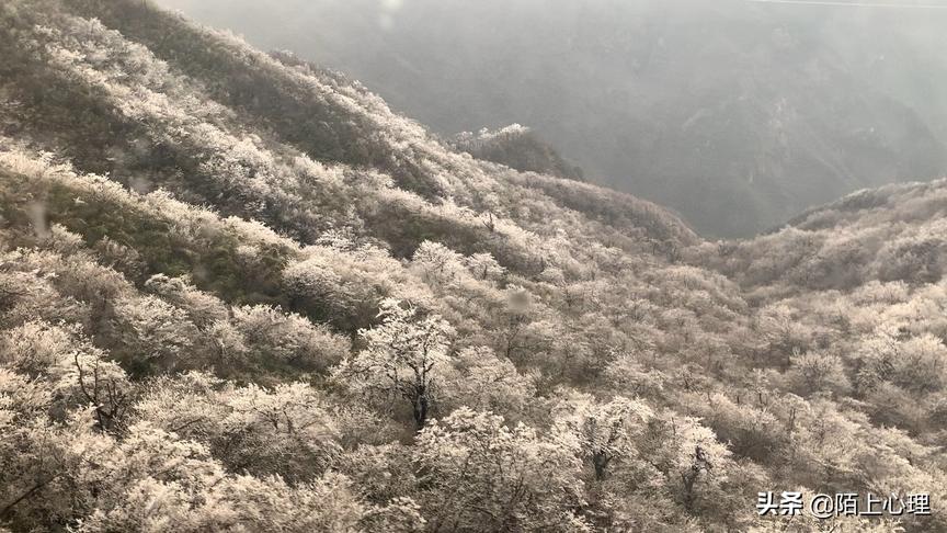 [图]25岁该过这样的春节，去一次旅游，见一次雪山，坐一次缆车