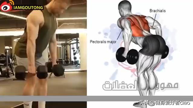 [图]背部（肌肉解剖）图解训练动作合集BACK WORKOUT💪🏿