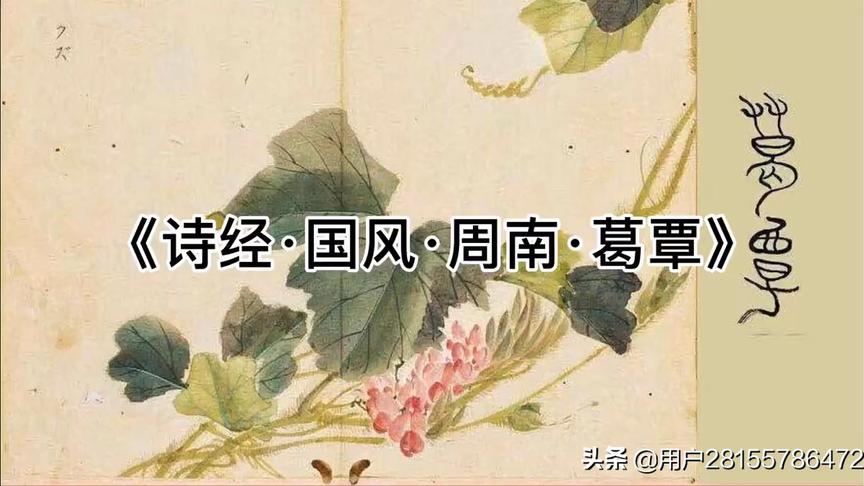 [图]002诗经·国风·葛覃/女子新婚，初回娘家，思绪万千⋯