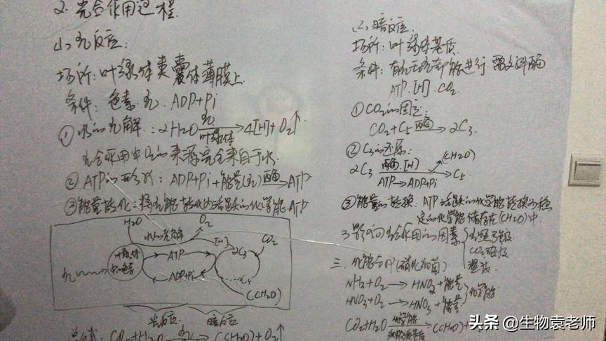 [图]光合作用的原理及应用