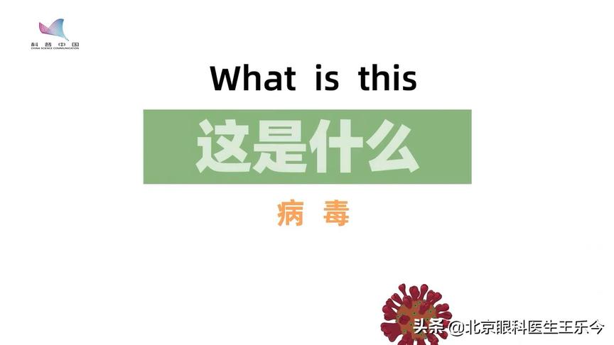 [图]给孩子看看这个《这是细菌》动画片，让孩子了解病毒与细菌的区别