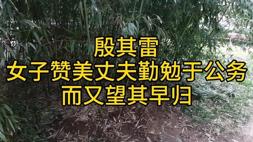 [图]竹林听风诵诗经，感受大自然气息，品味经典韵律--风.召南.殷其雷