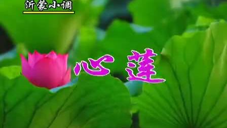 [图]山东沂蒙小调《心莲》全集